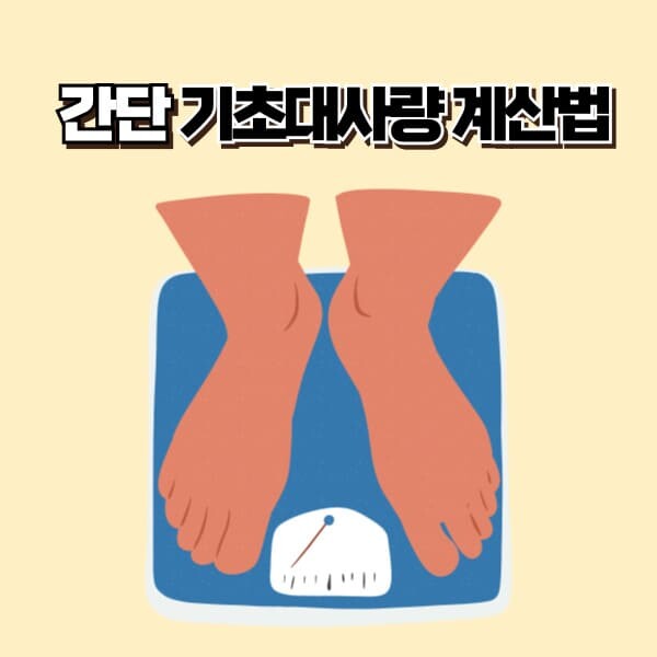 기초대사량 계산기