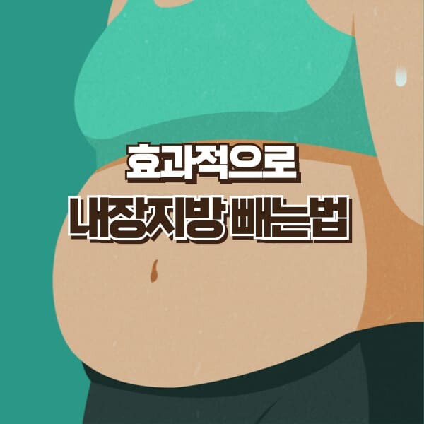 내장지방 빼는법