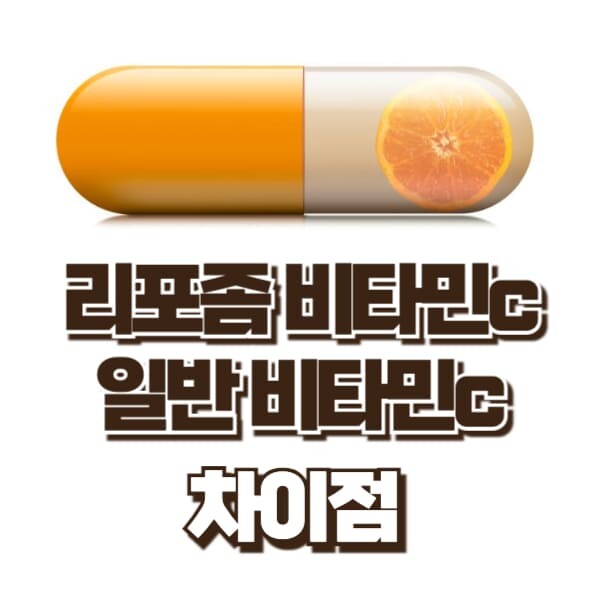 리포좀 비타민c 효능